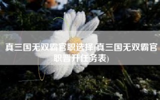 真三国无双霸官职选择(真三国无双霸官职晋升任务表)
