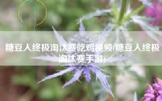 糖豆人终极淘汰赛吃鸡视频(糖豆人终极淘汰赛手游)