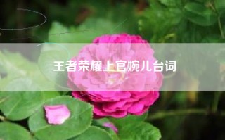 王者荣耀上官婉儿台词