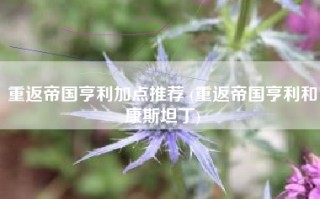 重返帝国亨利加点推荐 (重返帝国亨利和康斯坦丁)