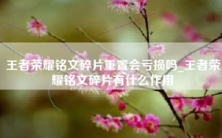 王者荣耀铭文碎片重置会亏损吗_王者荣耀铭文碎片有什么作用