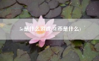 5e是什么游戏(5E币是什么)