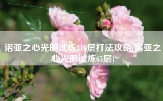 诺亚之心光明试炼310层打法攻略(诺亚之心光明试炼65层)