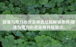 部落与弯刀心灵巫师真结局解锁条件(部落与弯刀心灵巫师开局加点)