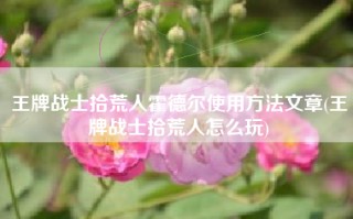 王牌战士拾荒人霍德尔使用方法文章(王牌战士拾荒人怎么玩)
