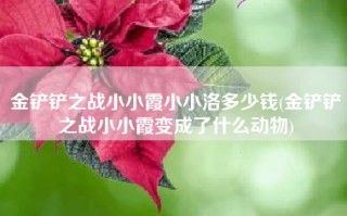 金铲铲之战小小霞小小洛多少钱(金铲铲之战小小霞变成了什么动物)