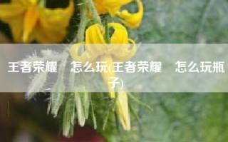 王者荣耀暃怎么玩(王者荣耀暃怎么玩瓶子)