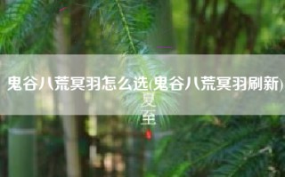 鬼谷八荒冥羽怎么选(鬼谷八荒冥羽刷新)