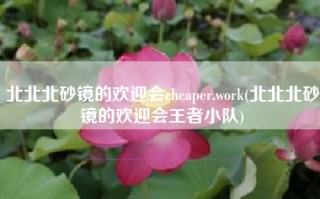 北北北砂镜的欢迎会cheaper.work(北北北砂镜的欢迎会王者小队)
