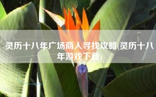 灵历十八年广场商人寻找攻略(灵历十八年游戏下载)