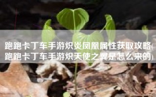 跑跑卡丁车手游炽炎凤凰属性获取攻略(跑跑卡丁车手游炽天使之翼是怎么来的)