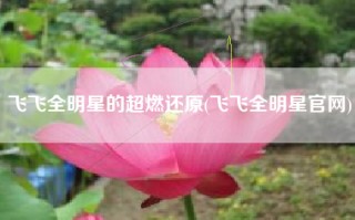 飞飞全明星的超燃还原(飞飞全明星官网)