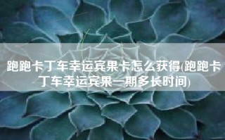 跑跑卡丁车幸运宾果卡怎么获得(跑跑卡丁车幸运宾果一期多长时间)