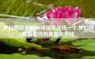 梦幻西游手游100项链多少钱一个,梦幻西游最值钱的装备多少钱