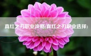真红之刃职业攻略(真红之刃职业选择)