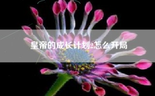 皇帝的成长计划2怎么开局