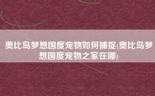 奥比岛梦想国度宠物如何捕捉(奥比岛梦想国度宠物之家在哪)