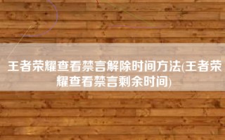 王者荣耀查看禁言解除时间方法(王者荣耀查看禁言剩余时间)