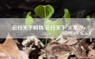 云行天下购物(云行天下 火龙汐)