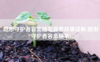 隐形守护者容斋随笔背景故事详解(隐形守护者容斋随笔)