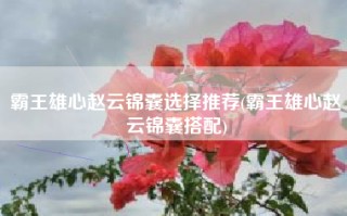 霸王雄心赵云锦囊选择推荐(霸王雄心赵云锦囊搭配)