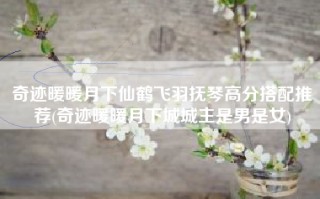 奇迹暖暖月下仙鹤飞羽抚琴高分搭配推荐(奇迹暖暖月下城城主是男是女)