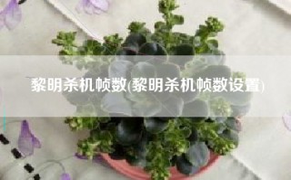 黎明杀机帧数(黎明杀机帧数设置)