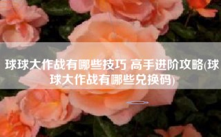 球球大作战有哪些技巧 高手进阶攻略(球球大作战有哪些兑换码)