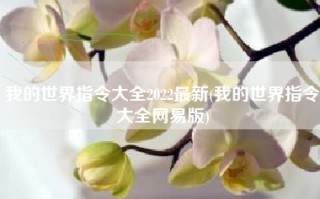 我的世界指令大全2022最新(我的世界指令大全网易版)