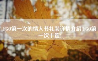 FGO第一次的情人节礼装详情介绍(FGO第一次十连)