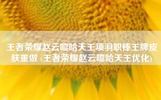 王者荣耀赵云嘻哈天王项羽职棒王牌皮肤重做 (王者荣耀赵云嘻哈天王优化)