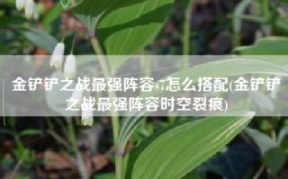 金铲铲之战最强阵容s7怎么搭配(金铲铲之战最强阵容时空裂痕)