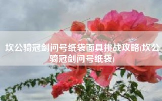 坎公骑冠剑问号纸袋面具挑战攻略(坎公骑冠剑问号纸袋)
