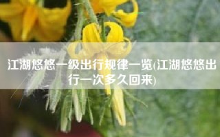 江湖悠悠一级出行规律一览(江湖悠悠出行一次多久回来)