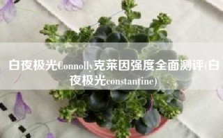 白夜极光Connolly克莱因强度全面测评(白夜极光constantine)