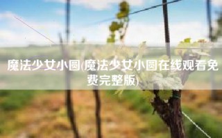 魔法少女小圆(魔法少女小圆在线观看免费完整版)