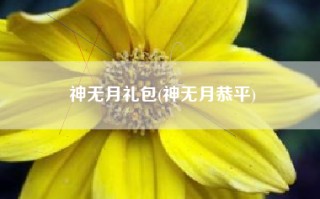 神无月礼包(神无月恭平)