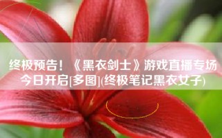 终极预告！《黑衣剑士》游戏直播专场今日开启[多图](终极笔记黑衣女子)