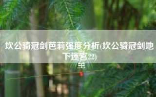 坎公骑冠剑芭莉强度分析(坎公骑冠剑地下迷宫22)