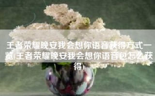 王者荣耀晚安我会想你语音获得方式一览(王者荣耀晚安我会想你语音包怎么获得)