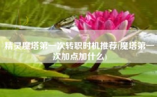 精灵魔塔第一次转职时机推荐(魔塔第一次加点加什么)