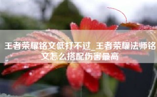 王者荣耀铭文低打不过_王者荣耀法师铭文怎么搭配伤害最高