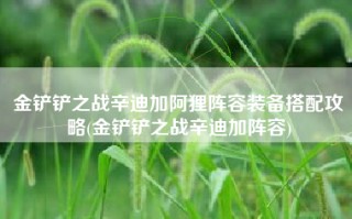 金铲铲之战辛迪加阿狸阵容装备搭配攻略(金铲铲之战辛迪加阵容)