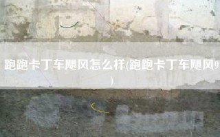 跑跑卡丁车飓风怎么样(跑跑卡丁车飓风9)