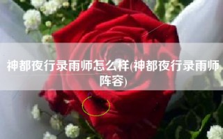 神都夜行录雨师怎么样(神都夜行录雨师阵容)