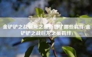 金铲铲之战巨龙之巢新增了哪些羁绊(金铲铲之战巨龙之巢羁绊)