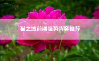 猫之城前期强势阵容推荐