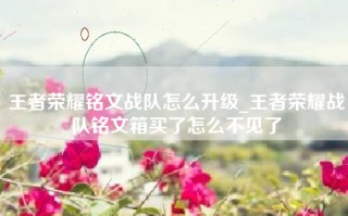 王者荣耀铭文战队怎么升级_王者荣耀战队铭文箱买了怎么不见了
