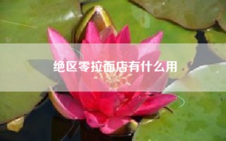 绝区零拉面店有什么用