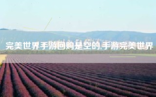 完美世界手游回购是空的,手游完美世界